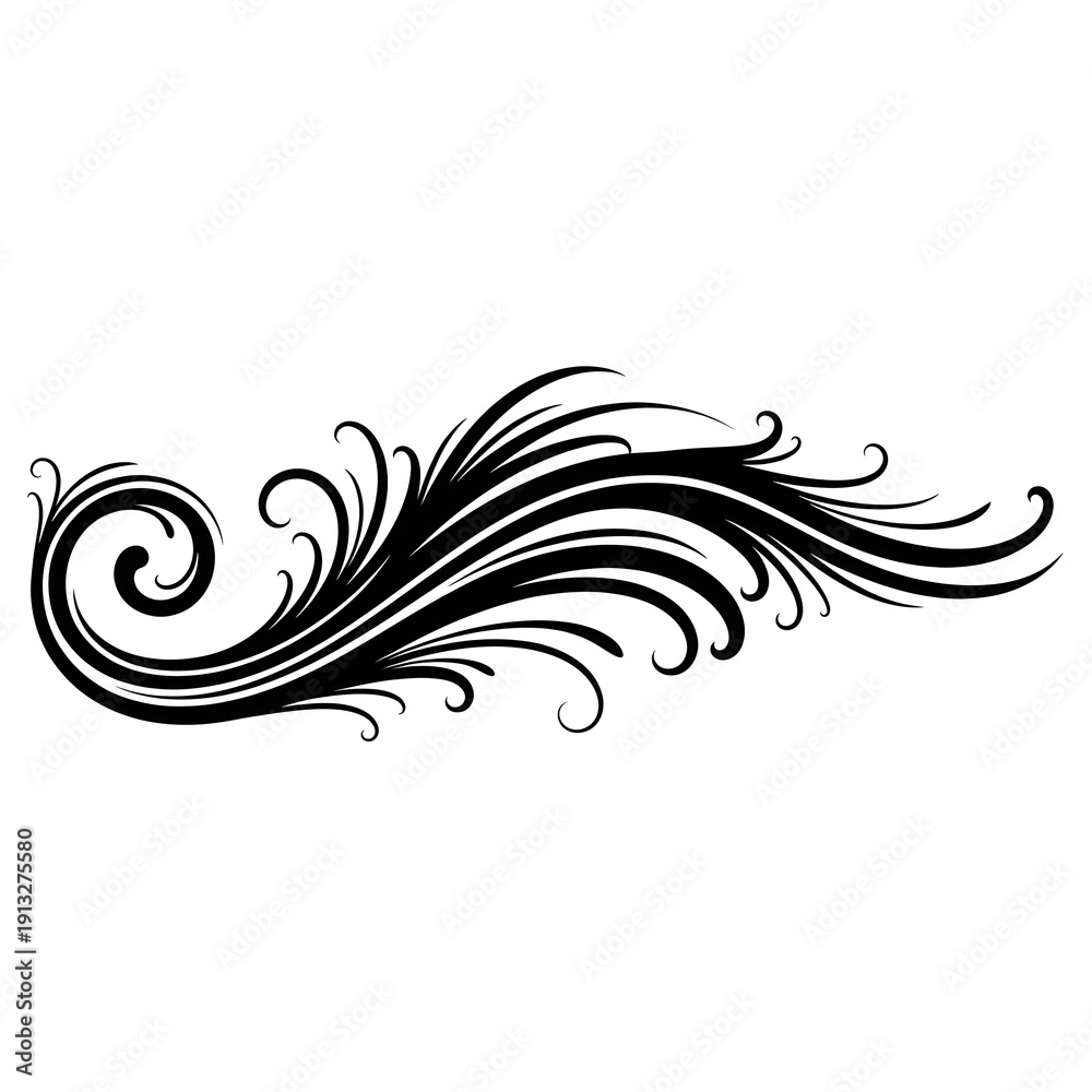 Fototapeta premium Elegant black floral swirl design element on white background