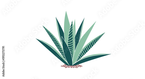Stylized modern illustration of a green agave or aloe vera succulent plant with decorative patterns isolated on a white background.