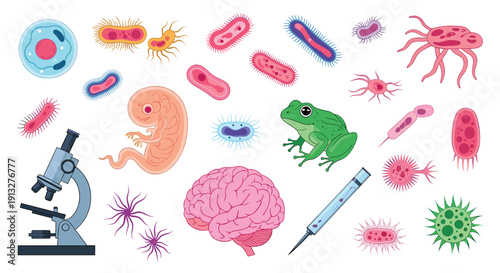 Large collection of diverse biology and microbiology icons, including cells, bacteria, an embryo, a brain, a frog, and a microscope.