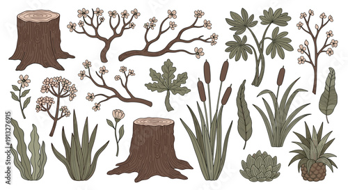 Vintage-style collection of hand-drawn botanical illustrations, including tree stumps, blooming branches, cattails, and various leaves.