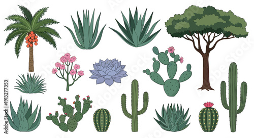 A large, detailed set of various desert plants and trees, including cacti, succulents, aloe vera, and tropical palm trees.