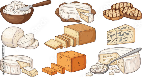 Cheese varieties collection set. Brie, cheddar, blue and cottage cheese. Sliced blocks and soft dairy products. Detailed food vector illustration pack.