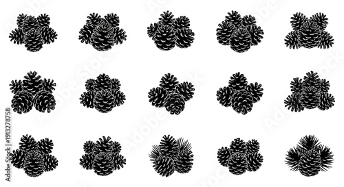 Collection of black pinecones on white background various sizes and orientations detailed illustrations