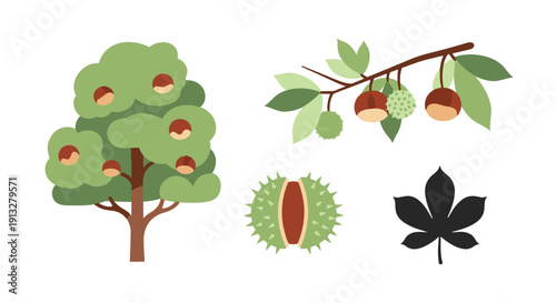 Chestnut Tree Line creative smooth color vector
