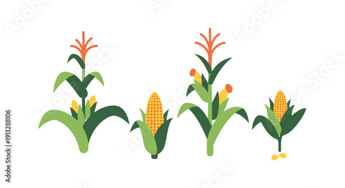 Corn Plant Line art simple creative color illustration