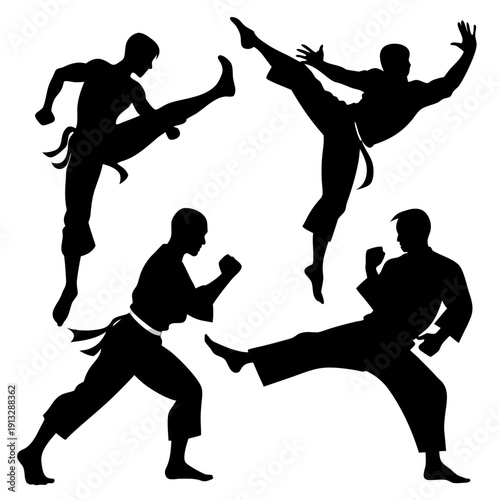 Martial arts silhouettes in various fighting stances