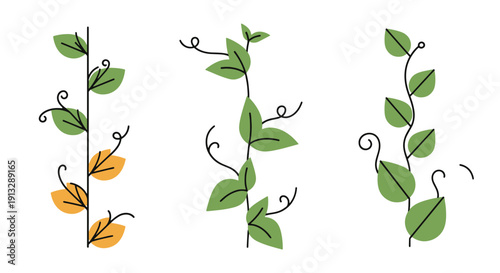 Creeper Plant Line creative abstract concept vector