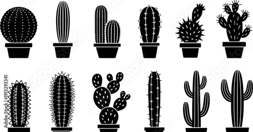 Collection of twelve black cactus silhouettes featuring various desert succulent species in pots and natural growth forms isolated on white background for botanical design.