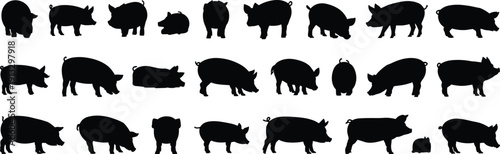 Pig silhouette collection set, farm animal poses isolated, pork livestock shapes, modern black flat vector illustration pack design