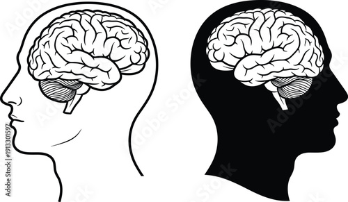 Human Profile Silhouette with Detailed Brain Vector Illustration Representing Mental Health Psychology Intelligence Neurology Mindfulness and Cognitive Science in Black and White Outline Style