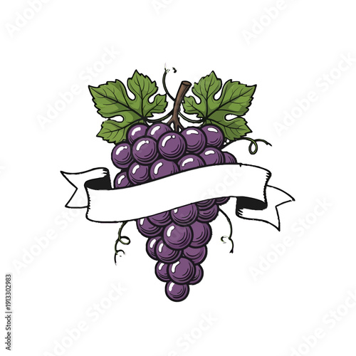 Fresh Bunch of Purple Grapes on Vine with Green Leaves and Empty Banner on Isolated White Background