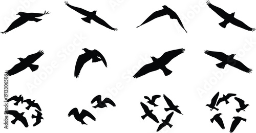 Flying bird silhouettes set, wild geese and ducks in flight vector illustration, flock migration wildlife isolated black shapes