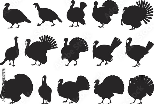 Set of black turkey silhouettes in various poses including strutting with fanned tails and walking for Thanksgiving holiday designs and autumn nature wildlife vector graphics