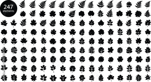Leaf silhouettes mega collection, assorted botanical foliage shapes vector set, forest plant leaves isolated, black nature design elements