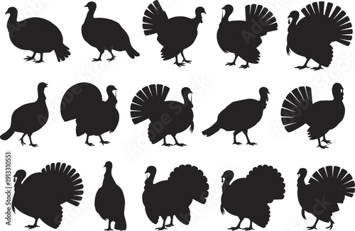 Collection of fifteen turkey bird silhouettes in various poses including walking strutting and standing for Thanksgiving holiday designs autumn farm poultry and wildlife vector illustrations