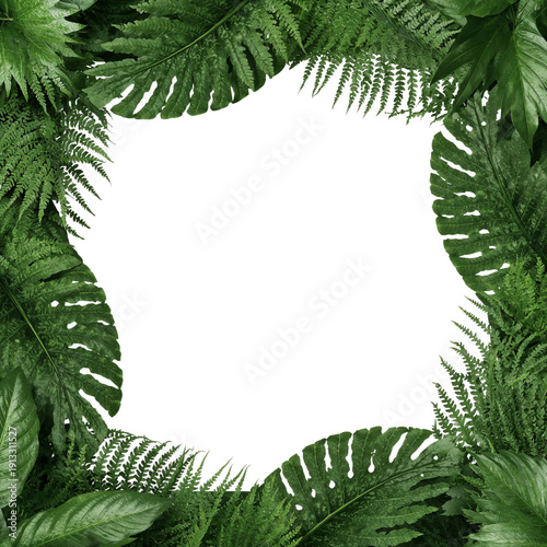 Green Leaves Frame a Blank Space in a Natural Setting for Decoration and Desi...