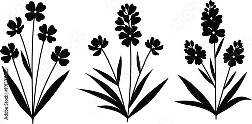 Wildflower silhouettes collection, botanical floral plants vector illustration, blooming garden flowers isolated, black nature clipart decorative herb stems