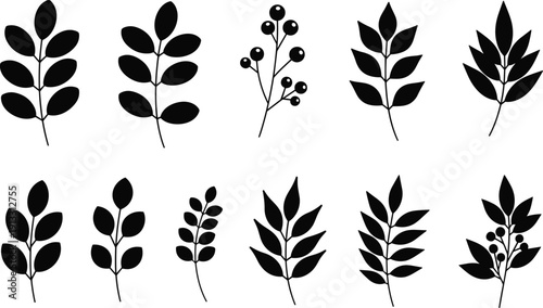 Leaf silhouette set, black branch vector icons, botanical foliage elements, organic plant shapes, floral laurel design, garden greenery, nature tree leaves.