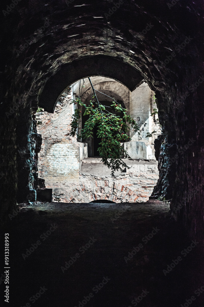 Obraz premium View Through a Dark Archway of an Abandoned Stone Ruin