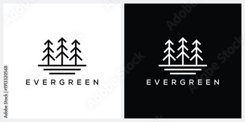 pine evergreen fir hemlock spruce conifer cedar coniferous cypress larch pinus tree forest vintage retro hipster line art Logo design