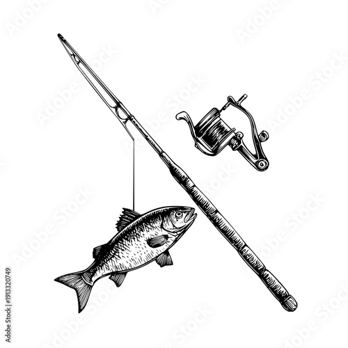 Illustration of a fishing rod with a fish caught on the line and a fishing reel in black and white style
