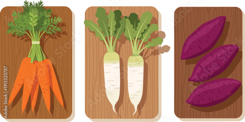 Root vegetables on wooden boards set. Carrot, daikon radish and sweet potato collection. Fresh organic farm produce flat vector illustration.
