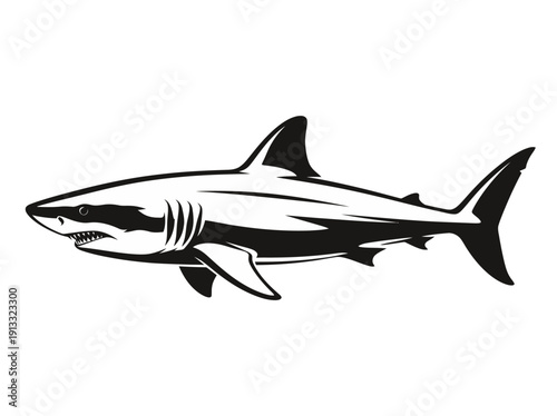 Shark Illustration Side View Vector Graphic Design