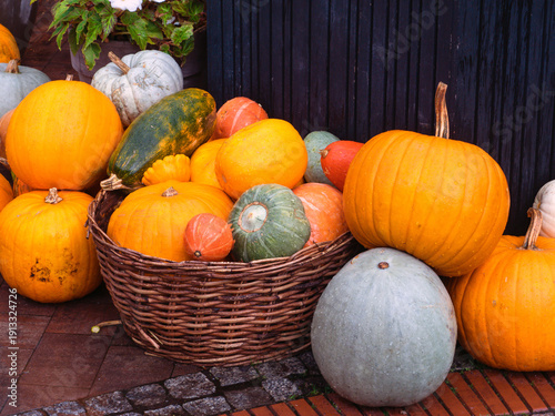 Pumpkins in a basket, autumn still life decorated with maple leaves
