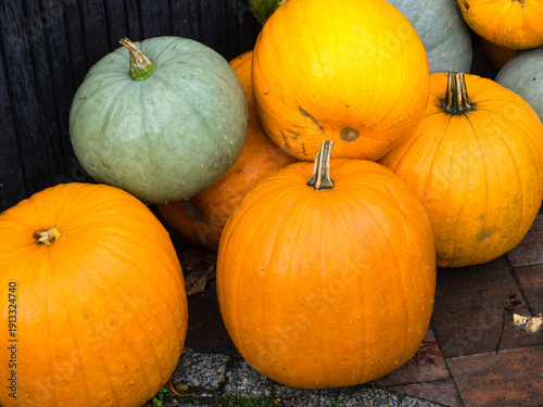 Large ripe pumpkins lying on straw, decorative installation, autumn harvest.