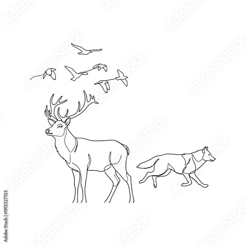 Wildlife illustration featuring deer, fox, and birds in natural setting. Illustration depicts graceful deer with antlers, a running fox nearby, and birds in flight overhead.