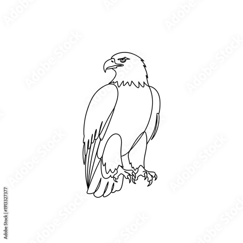 Detailed illustration of eagle perched with sharp claws and fierce expression, showcasing wings and feathers prominently.