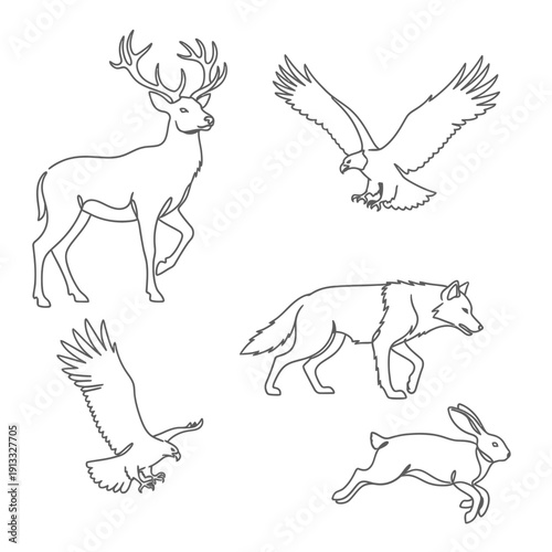Wild animals illustrations featuring deer, eagle, fox, hare, and hawk in simple line art style. Animal illustrations include deer with antlers, eagle in flight, fox walking, and hare jumping.
