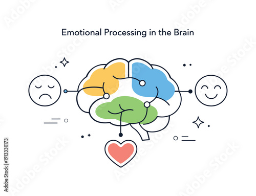 Emotional Brain Connection. Emotional processing in the brain. Abstract brain with colored areas connected to heart and face icons. Calm explanation of how