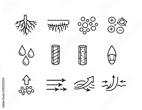 Plant roots absorbing nutrients. Line icon set of Plant roots absorbing nutrients: root system, root hairs, soil particles, nutrient ions,