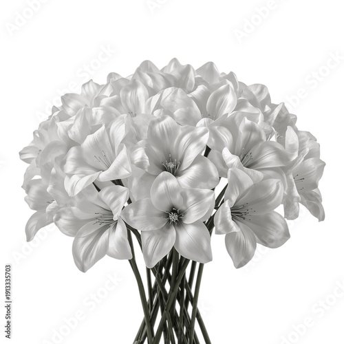 White Lilies Arranged in a Simple Bouquet on a Light Background