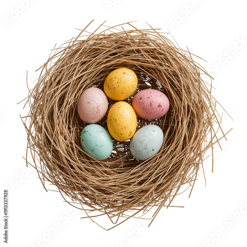 Colorful Eggs in a Nest Made of Straw on a White Background During Spring Season