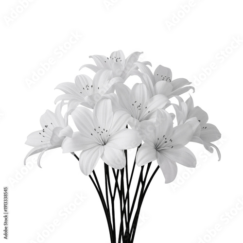 White Flowers Arranged in a Bouquet on a Plain Background in a Simple Display...