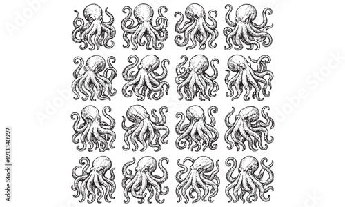 Octopus and Squid Sketch Collection - Marine Cephalopod Drawing Set