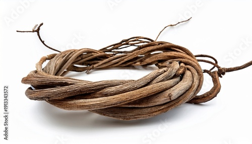 Twisted Dried Wild Liana Jungle Vine Tropical Plant Isolated On White Background Clipping Path Included