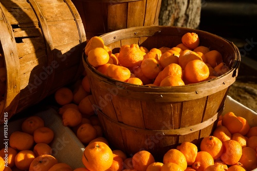 Cuadro en lienzo a bushel full of fresh ornages