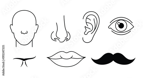 Black line art illustrations of human facial features including head profile nose ear eye lips and mustache for design work.