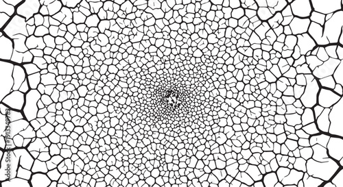 Black and white illustration of a cracked surface pattern with a spiral design