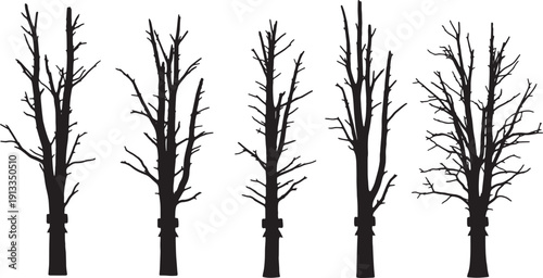 Black Solid Ribbon Tied Tree Silhouettes Set of Six on White Background