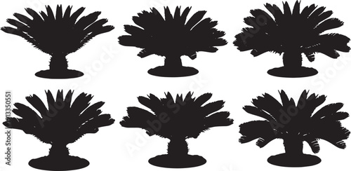 Black Solid Sago Palm and Cycad Silhouettes Set of Six on White Background