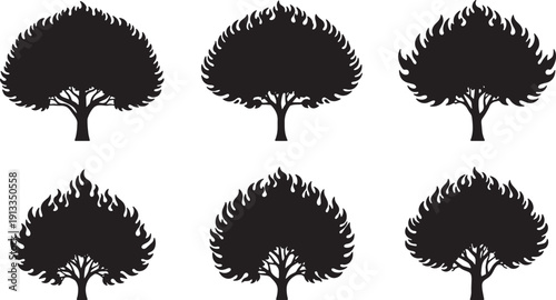 Black Solid Royal Poinciana Flame Tree Silhouettes Set of Six on White Background