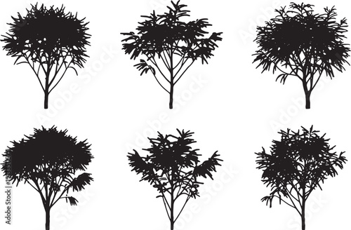 Black Solid Salt Cedar Tamarisk Tree Silhouettes Set of Six on White Background