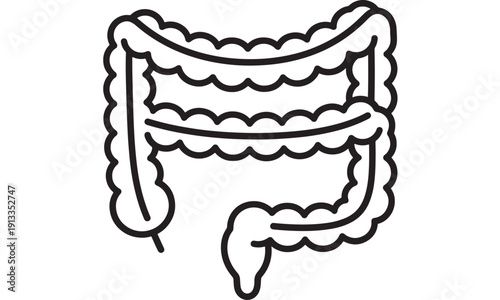 Colon anatomy icon showing large intestine outline in black line style, digestive system medical symbol isolated on white background for healthcare apps and diagrams