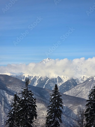 snow covered mountains