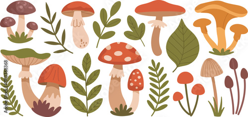 Forest Mushroom and Botanical Elements Vector Set  Wild Fungi, Leaves, and Ferns