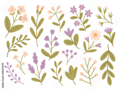 Colorful Floral Illustrations of Various Flowers and Leaves on White Background